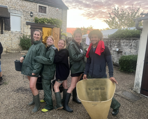 Familie durch Weinlese